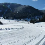 Schaefer - - Wintersports - Family - With Your Dog - Rural & Scenic * Flattnitz