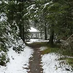 Schaefer - - Wintersports - Family - With Your Dog - Rural & Scenic Flattnitz