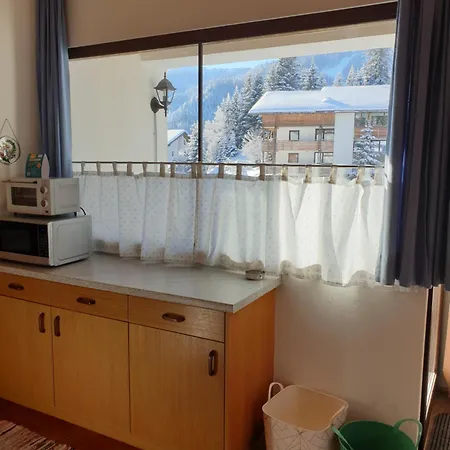 Schaefer - - Wintersports - Family - With Your Dog - Rural & Scenic