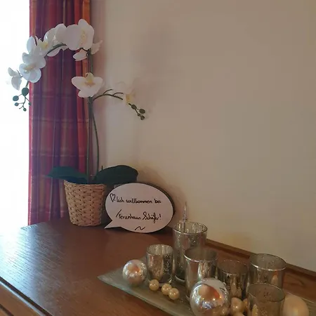 Appartement Schaefer - - Wintersports - Family - With Your Dog - Rural & Scenic