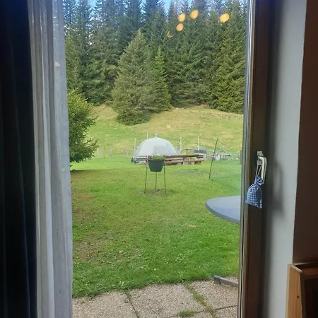 Schaefer - - Wintersports - Family - With Your Dog - Rural & Scenic *