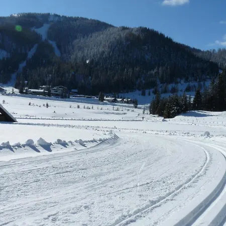 Schaefer - - Wintersports - Family - With Your Dog - Rural & Scenic * Flattnitz