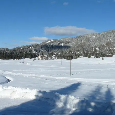 Schaefer - - Wintersports - Family - With Your Dog - Rural & Scenic *