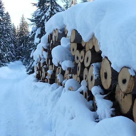 Apartman Schaefer - - Wintersports - Family - With Your Dog - Rural & Scenic *