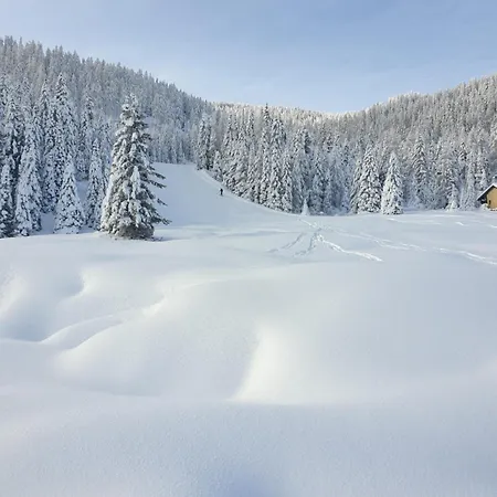 Schaefer - - Wintersports - Family - With Your Dog - Rural & Scenic * Flattnitz