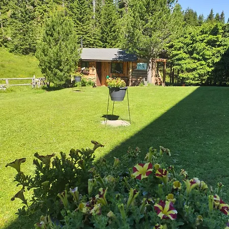 Schaefer - - Wintersports - Family - With Your Dog - Rural & Scenic * Flattnitz