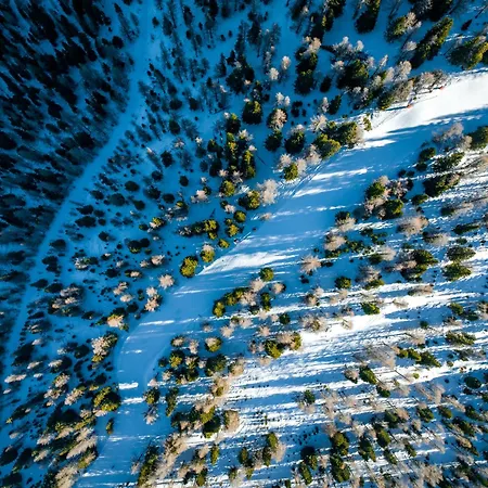 Apartman Schaefer - - Wintersports - Family - With Your Dog - Rural & Scenic Flattnitz