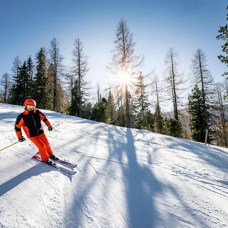 Schaefer - - Wintersports - Family - With Your Dog - Rural & Scenic * Flattnitz